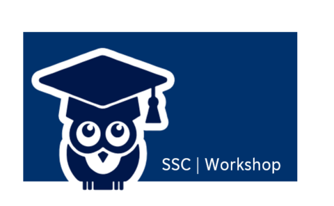 Zum Artikel "SSC Workshop (English): Studienverlaufsplan / Study Plan 23.07.2024"